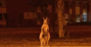 publive-image