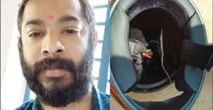 publive-image