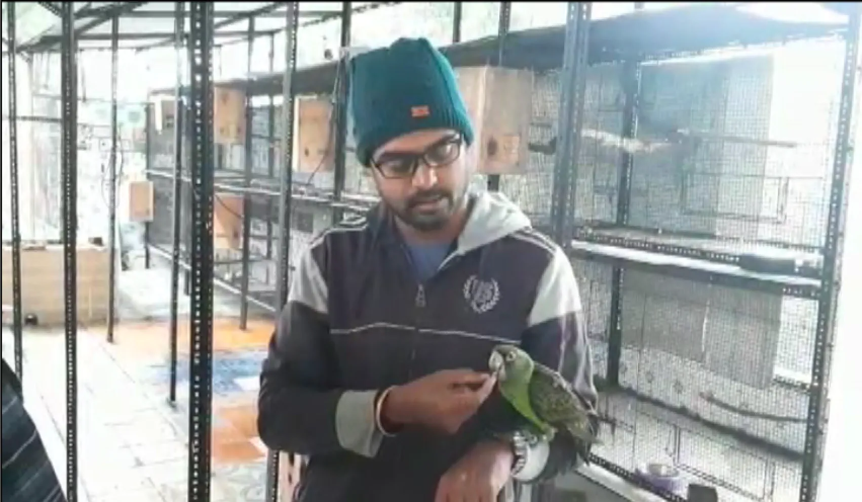publive-image
