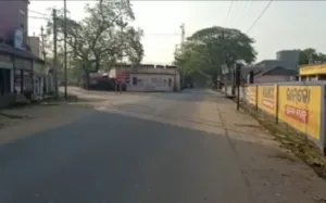 publive-image