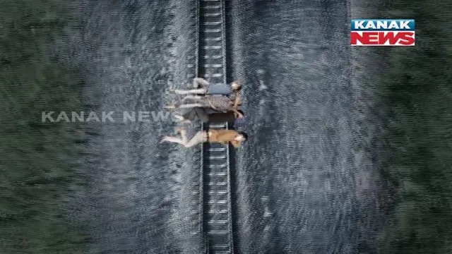 publive-image
