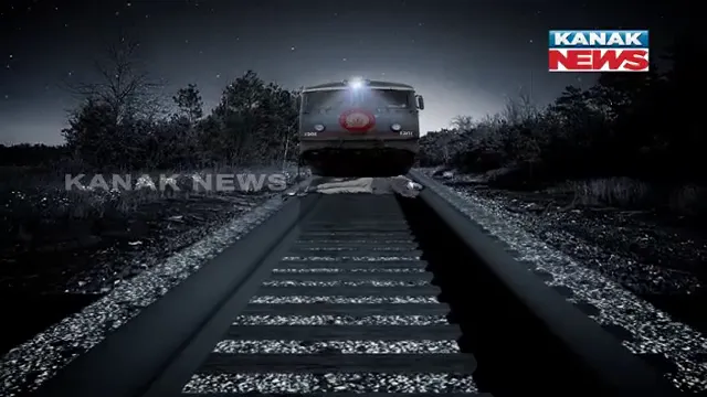 publive-image