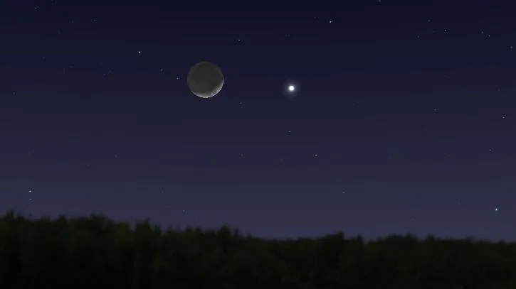 publive-image