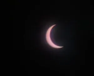 publive-image