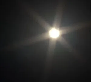 publive-image