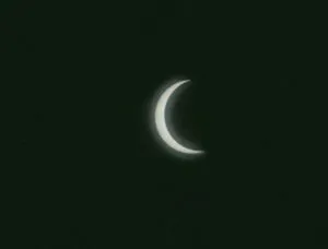 publive-image