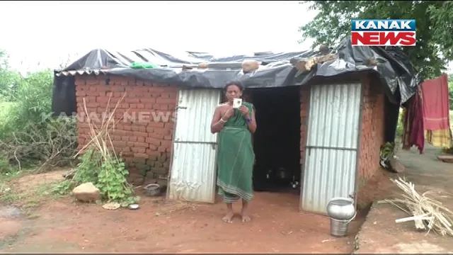 publive-image