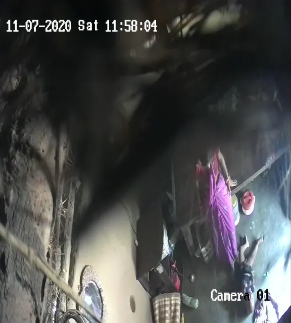 publive-image