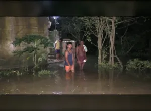publive-image