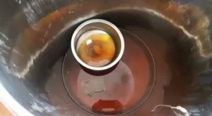 publive-image