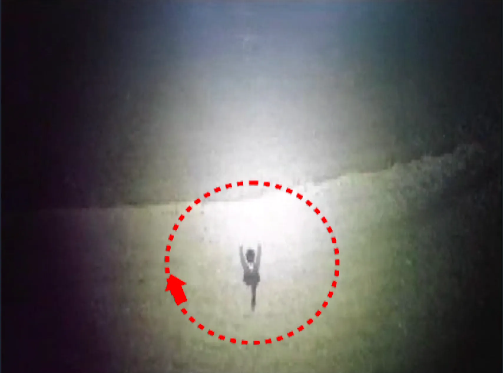 publive-image