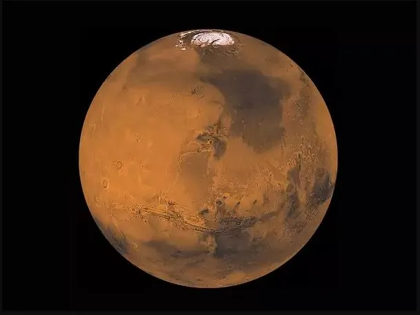 publive-image