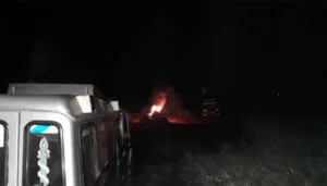 publive-image