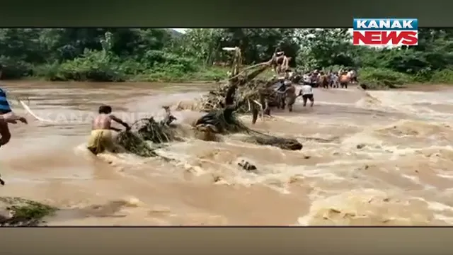 publive-image