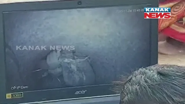 publive-image