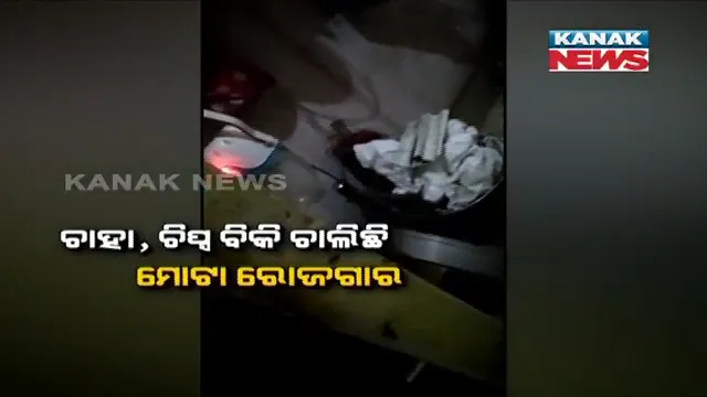 publive-image