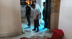 publive-image