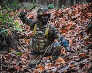 publive-image
