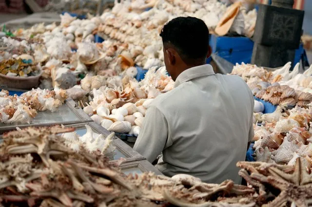 local business in lakshadweep