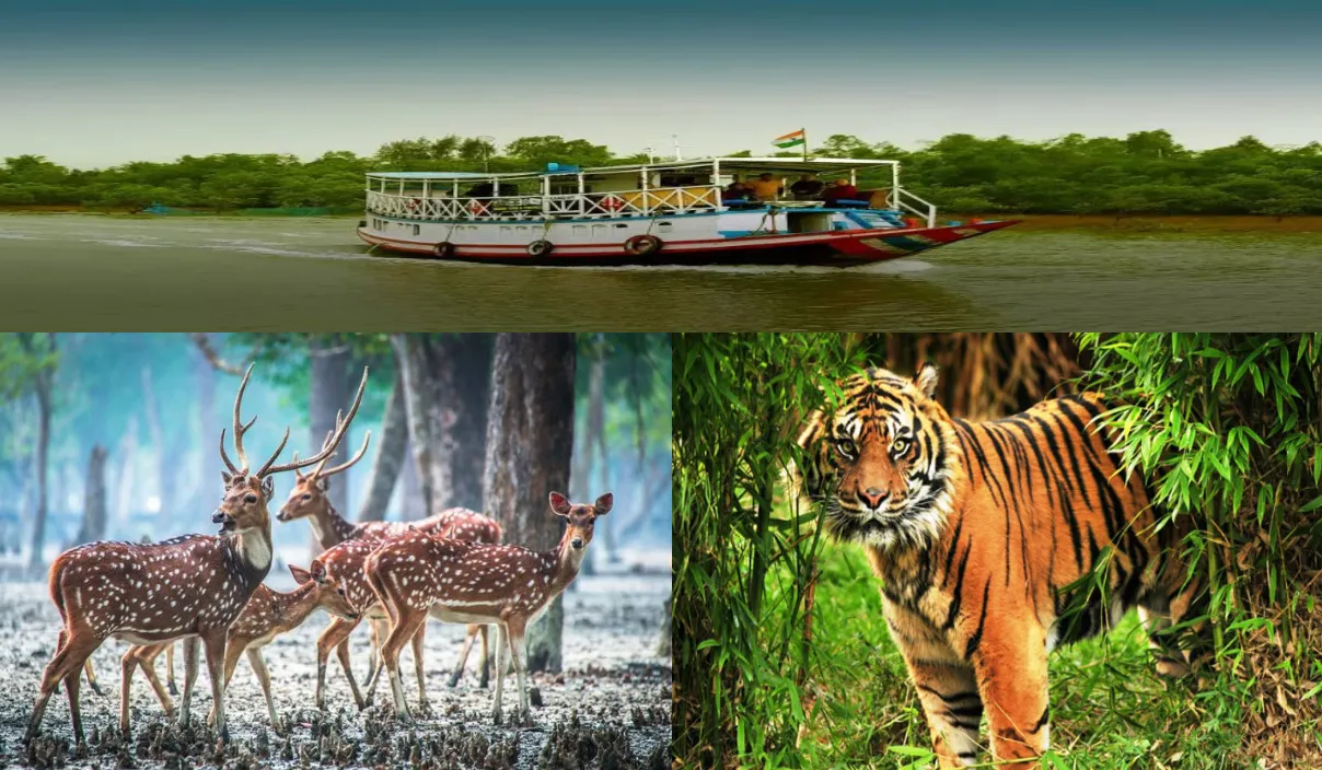 Sundarbans: UNESCO World Heritage Site
