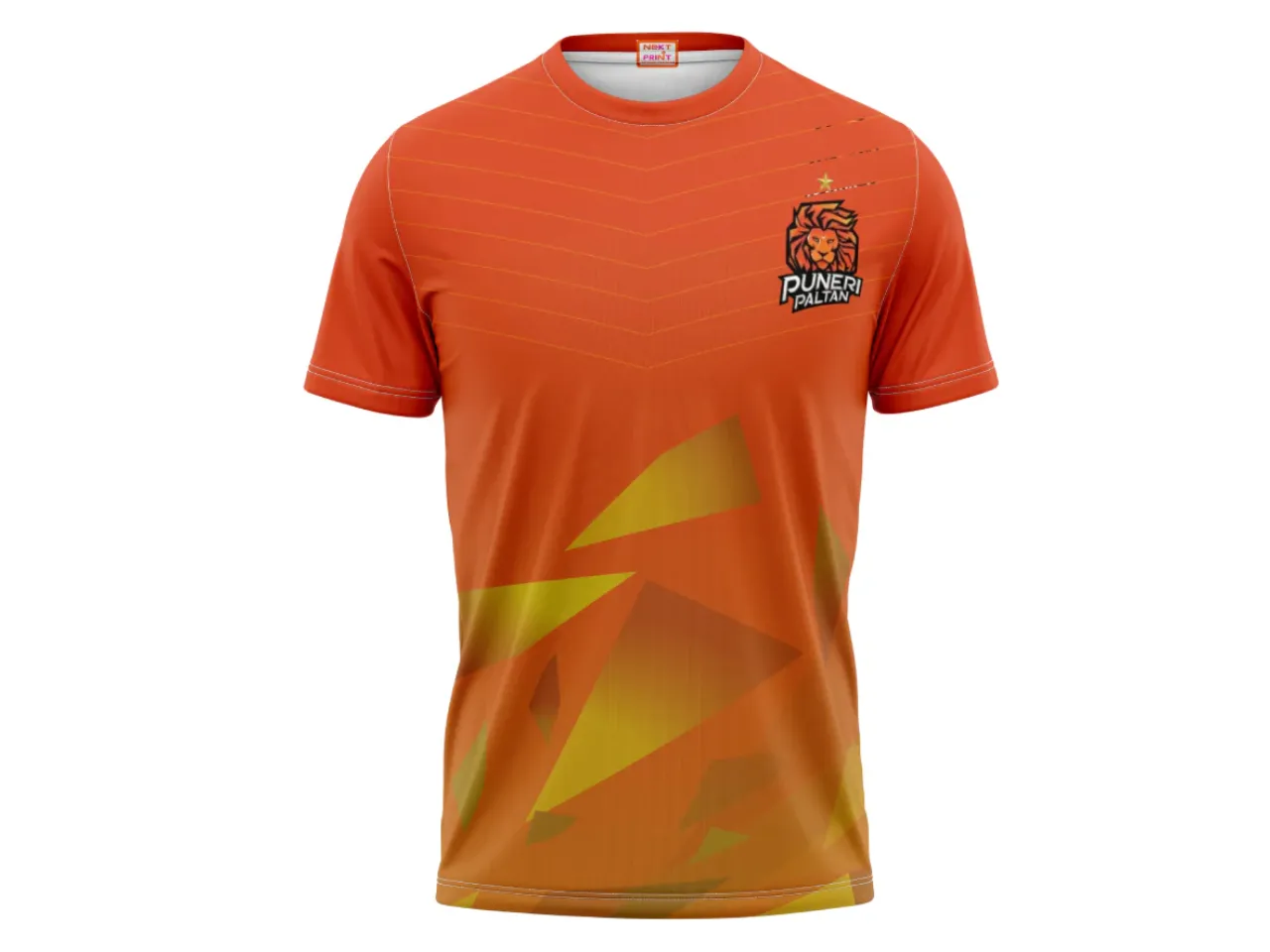 Puneri Paltan Jersey