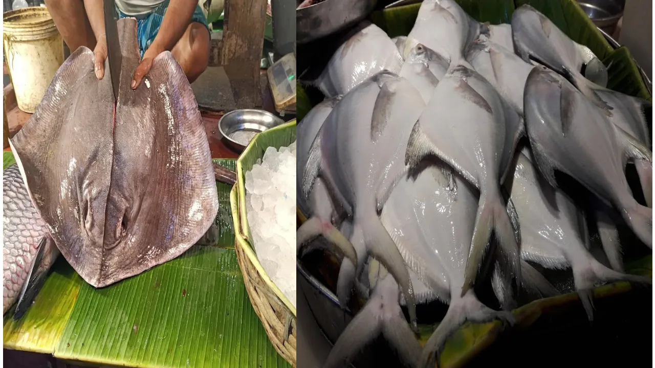 Manicktalla Fish Market