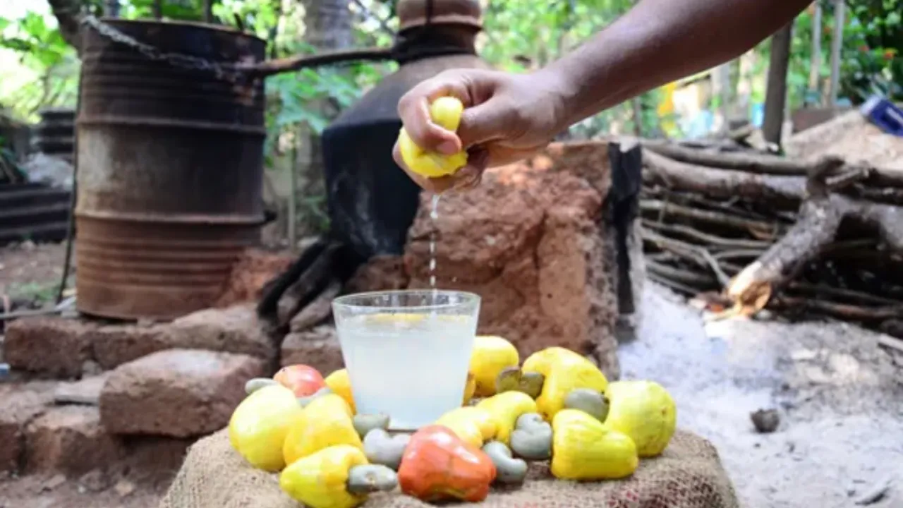 Feni