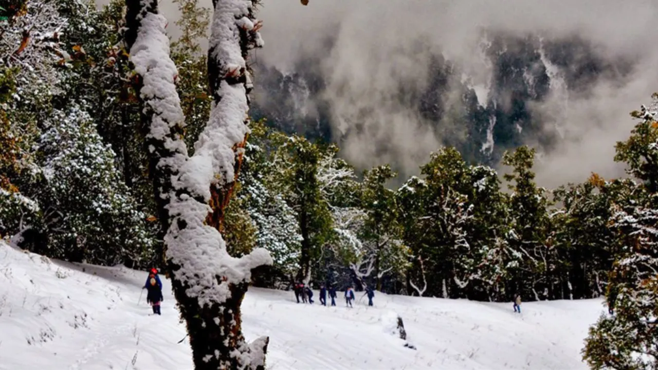 Nag Tibba Trek