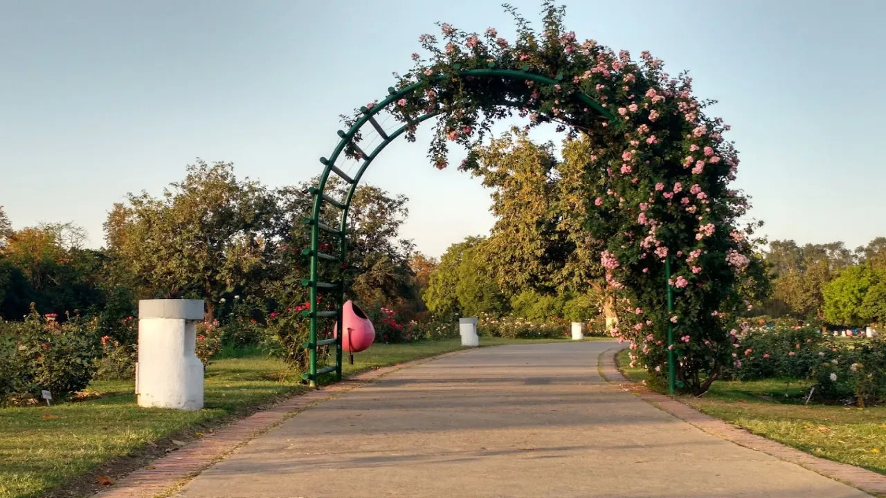 Zakir Hussain Rose Garden