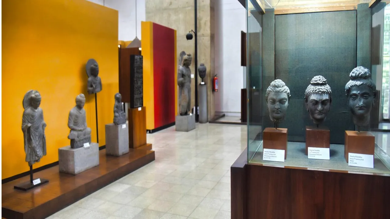 Government Museum and Art Gallery 