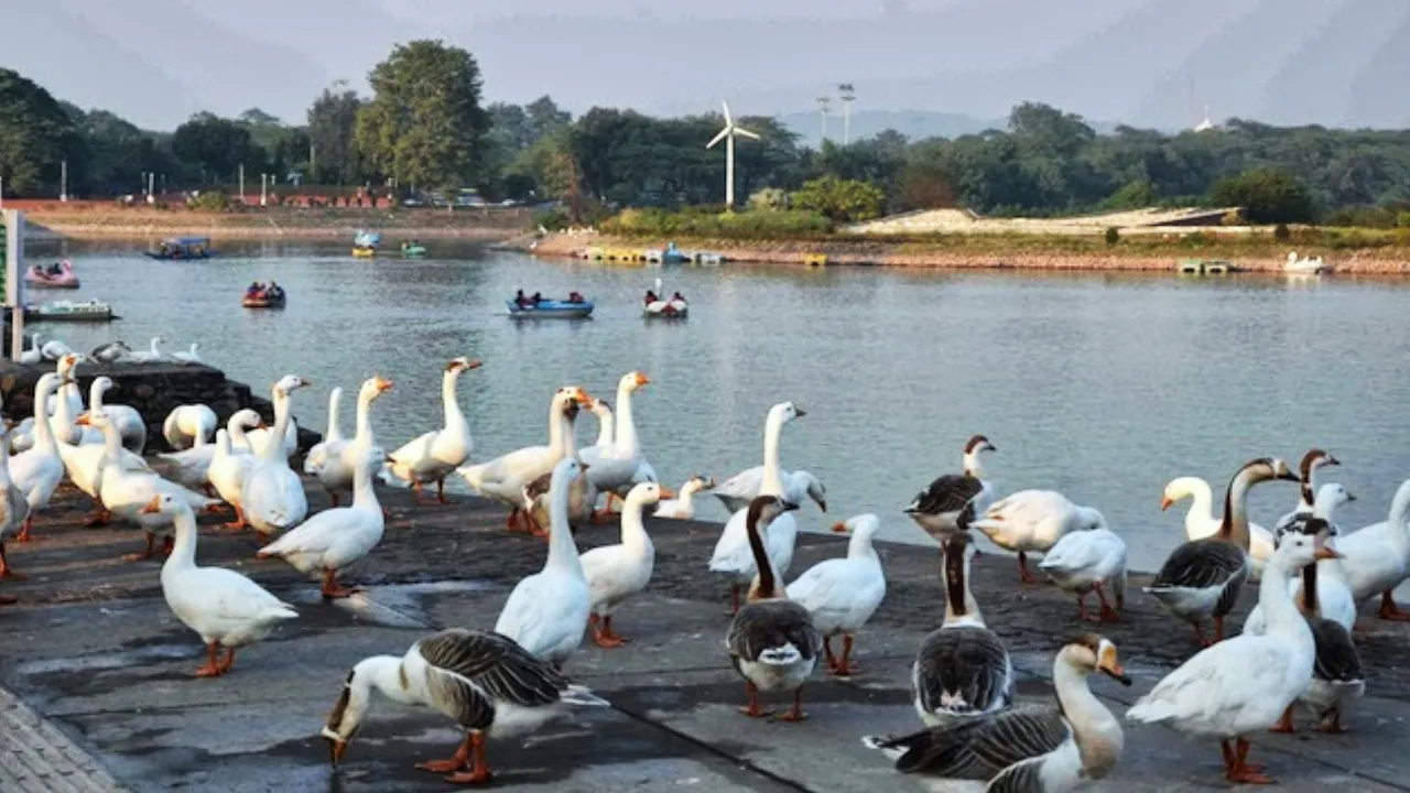 Sukhna Lake