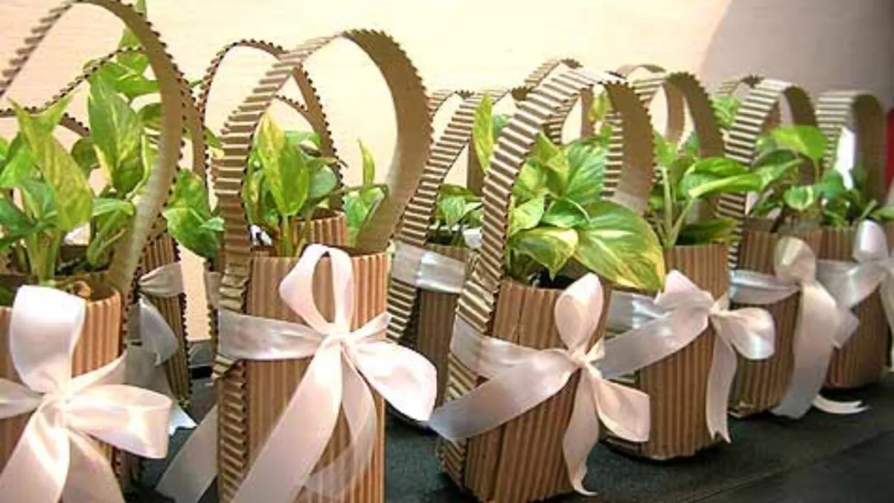Sustainable Weddings