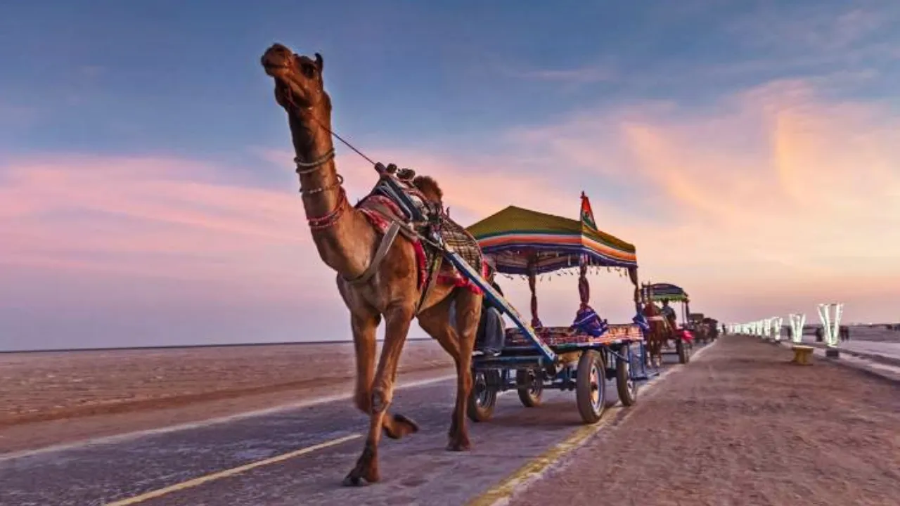Rann Utsav 5