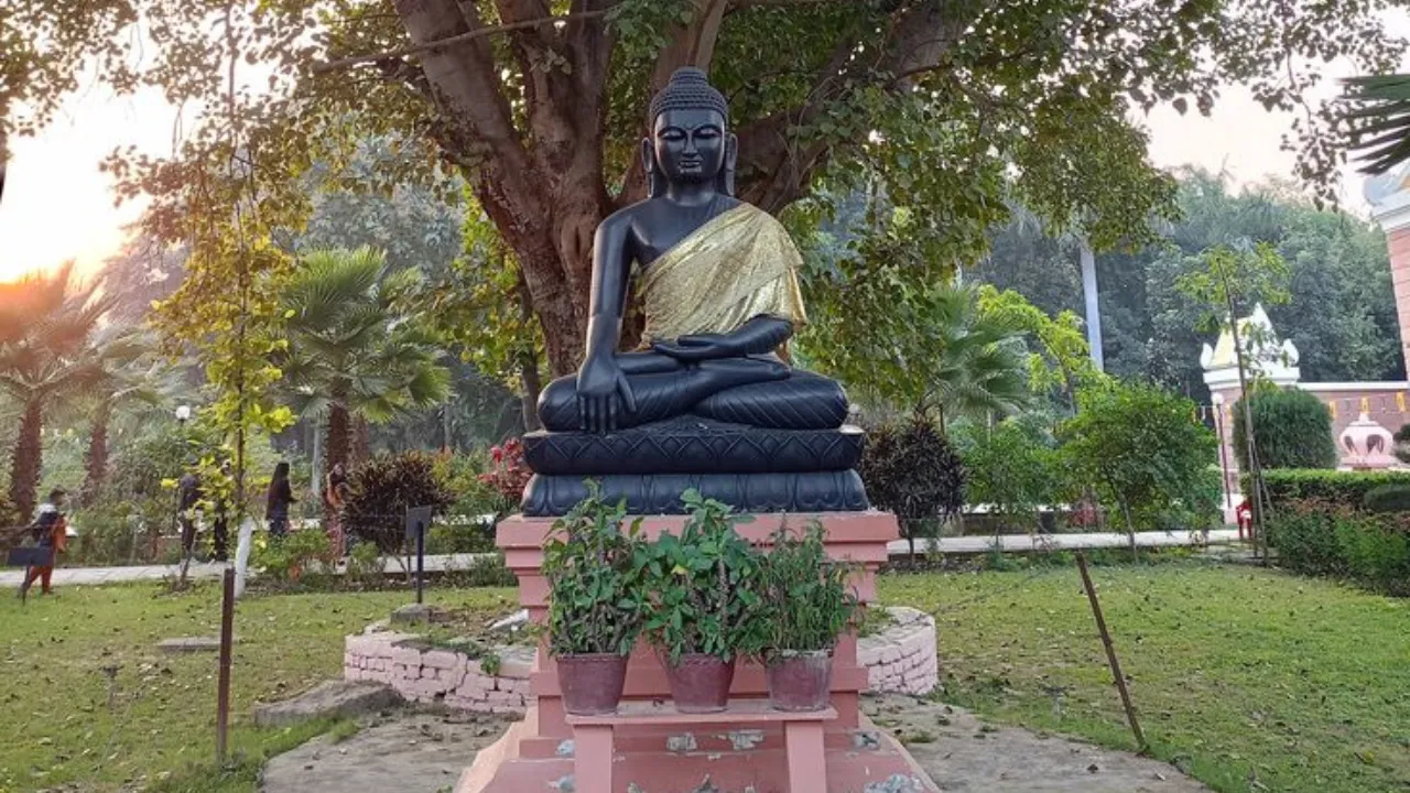Sarnath000