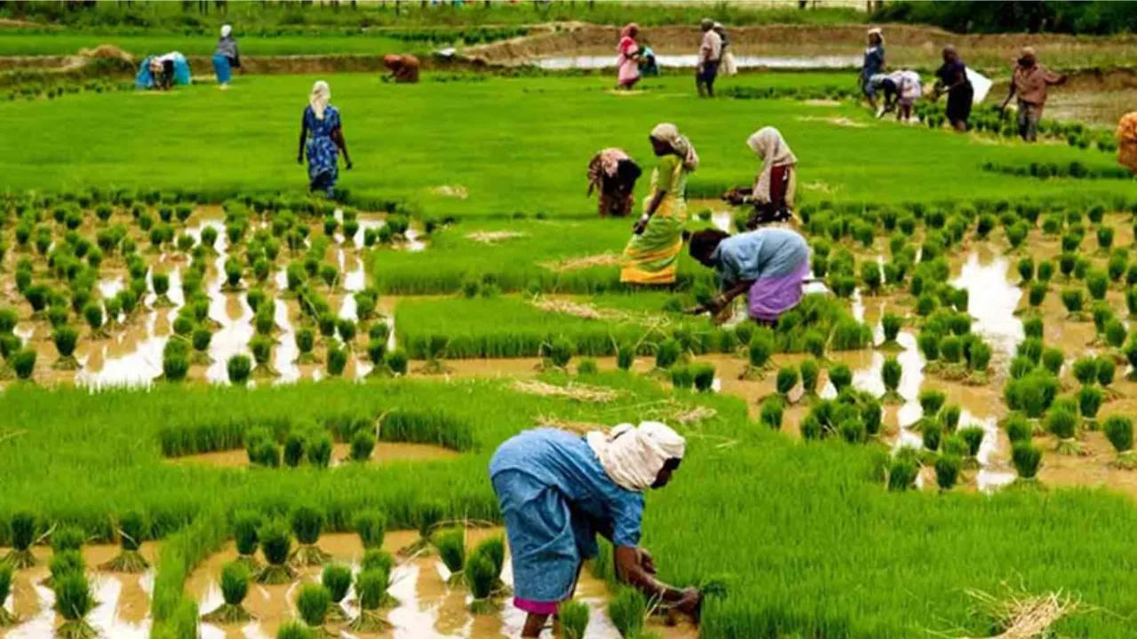 The Green Revolution