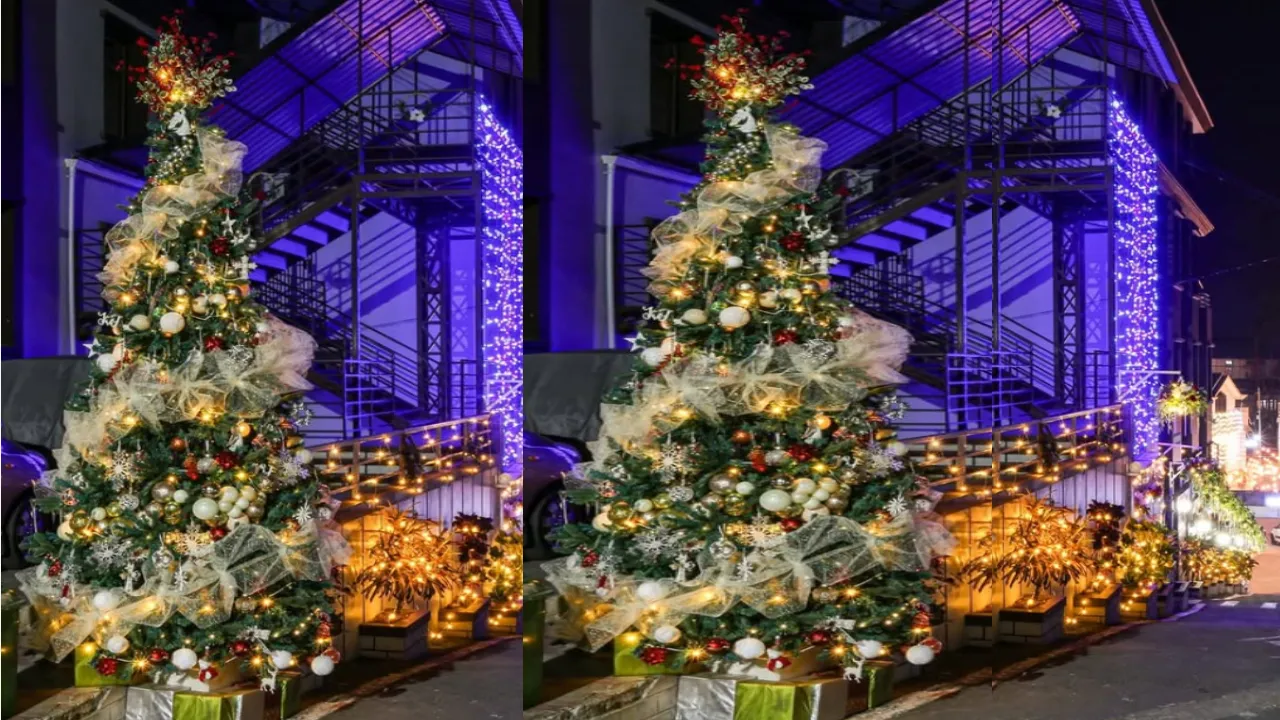 Christmas Decorations