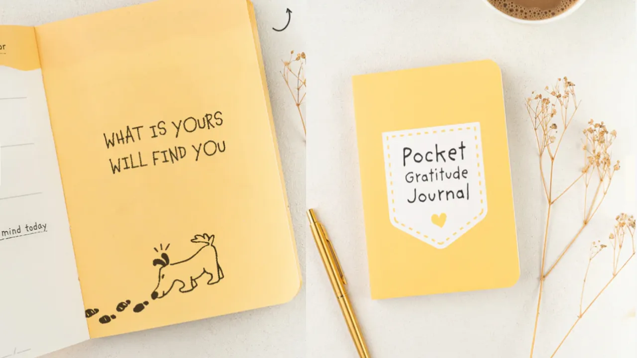 Practice gratitude