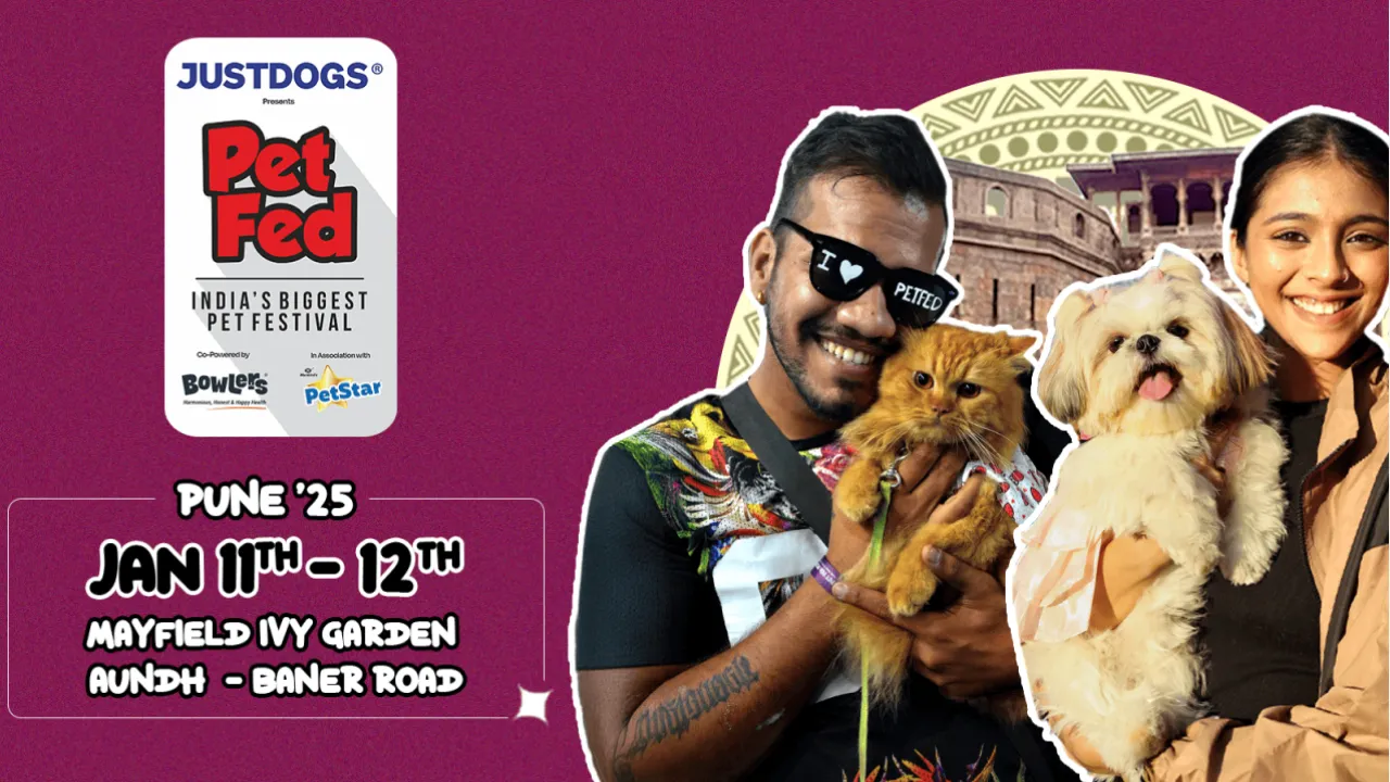 Pet Fed Pune