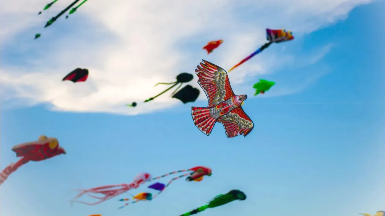 Here's Why you Must Visit the International Kite Festival 2025 in Ahmedabad
