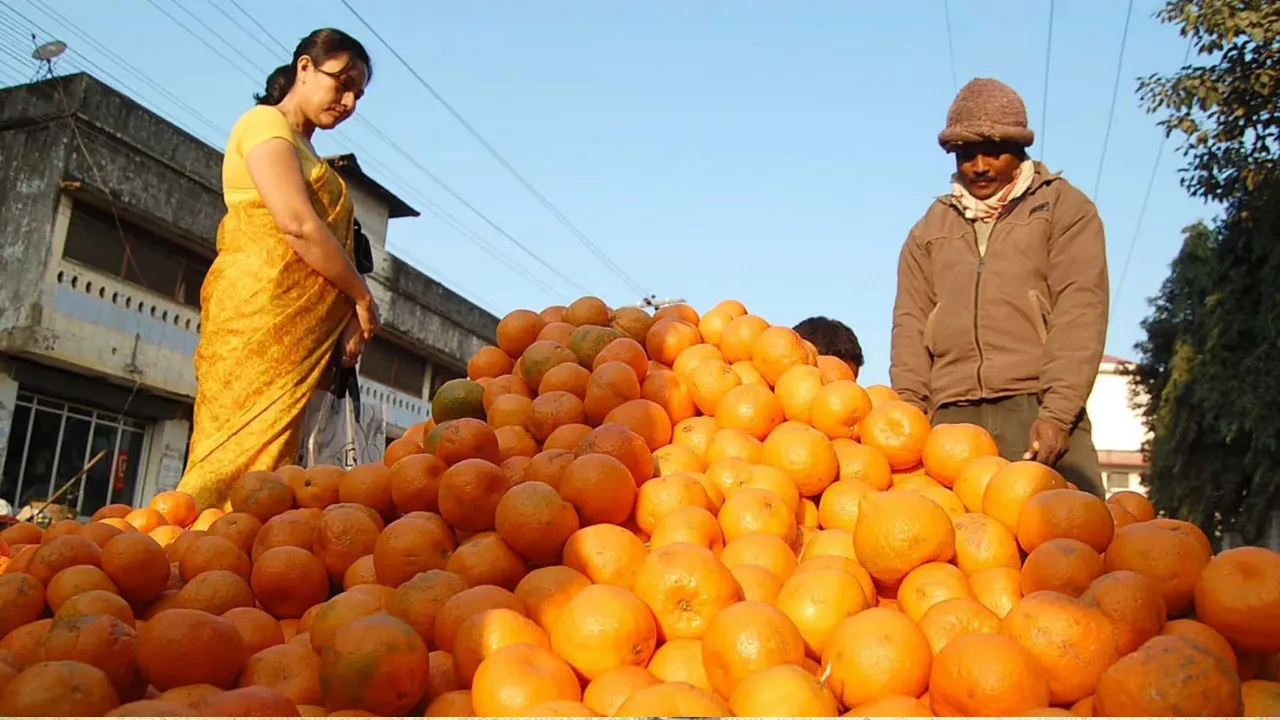 Tamenglong Orange