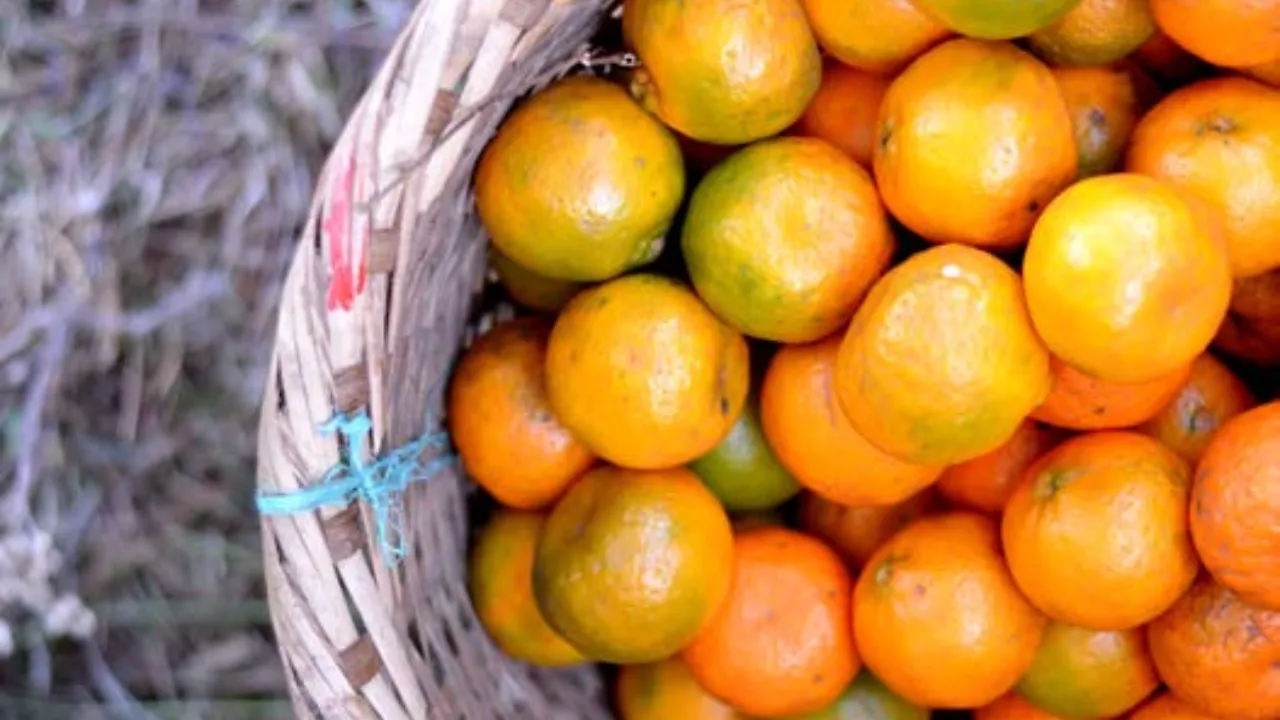 Khasi Mandarin