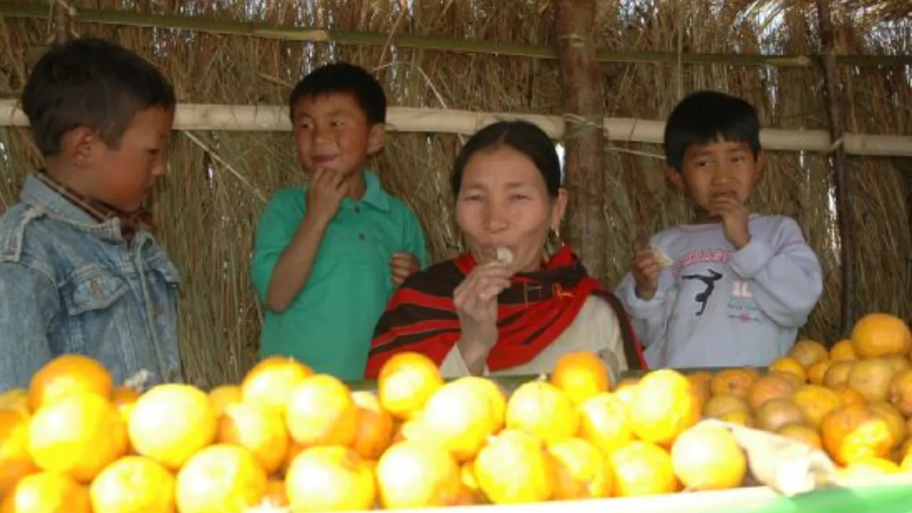 Kachai Lemon 