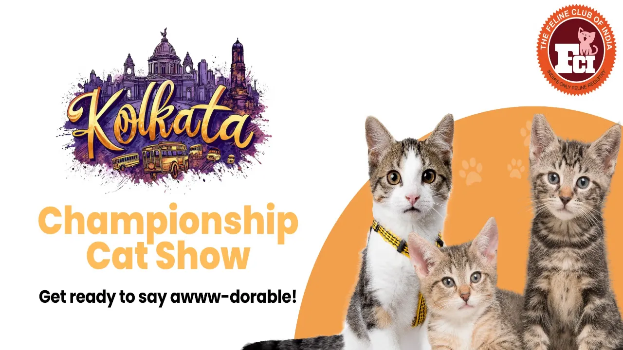 pet show in Kolkata