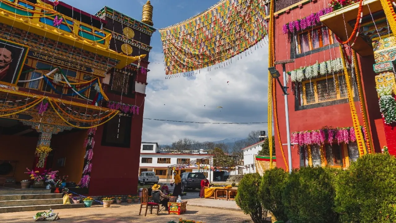 Local markets in Bir
