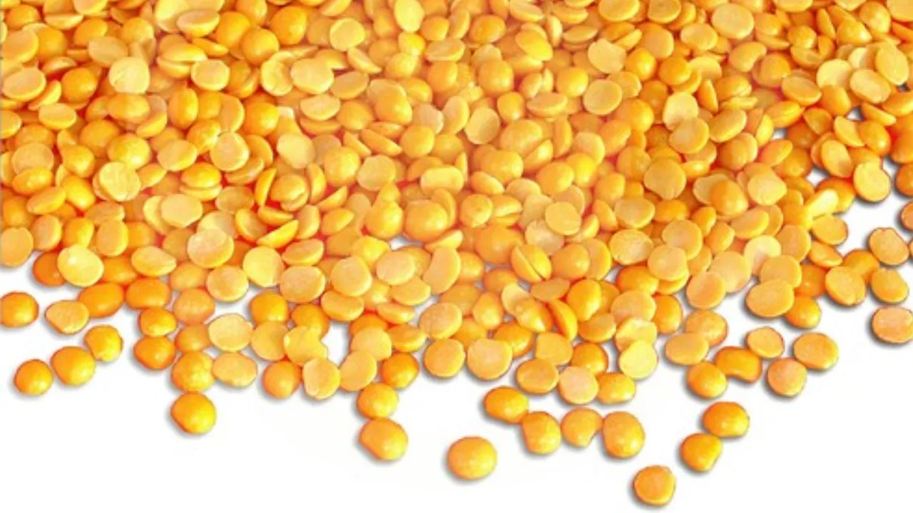 Gulbarga Tur Dal