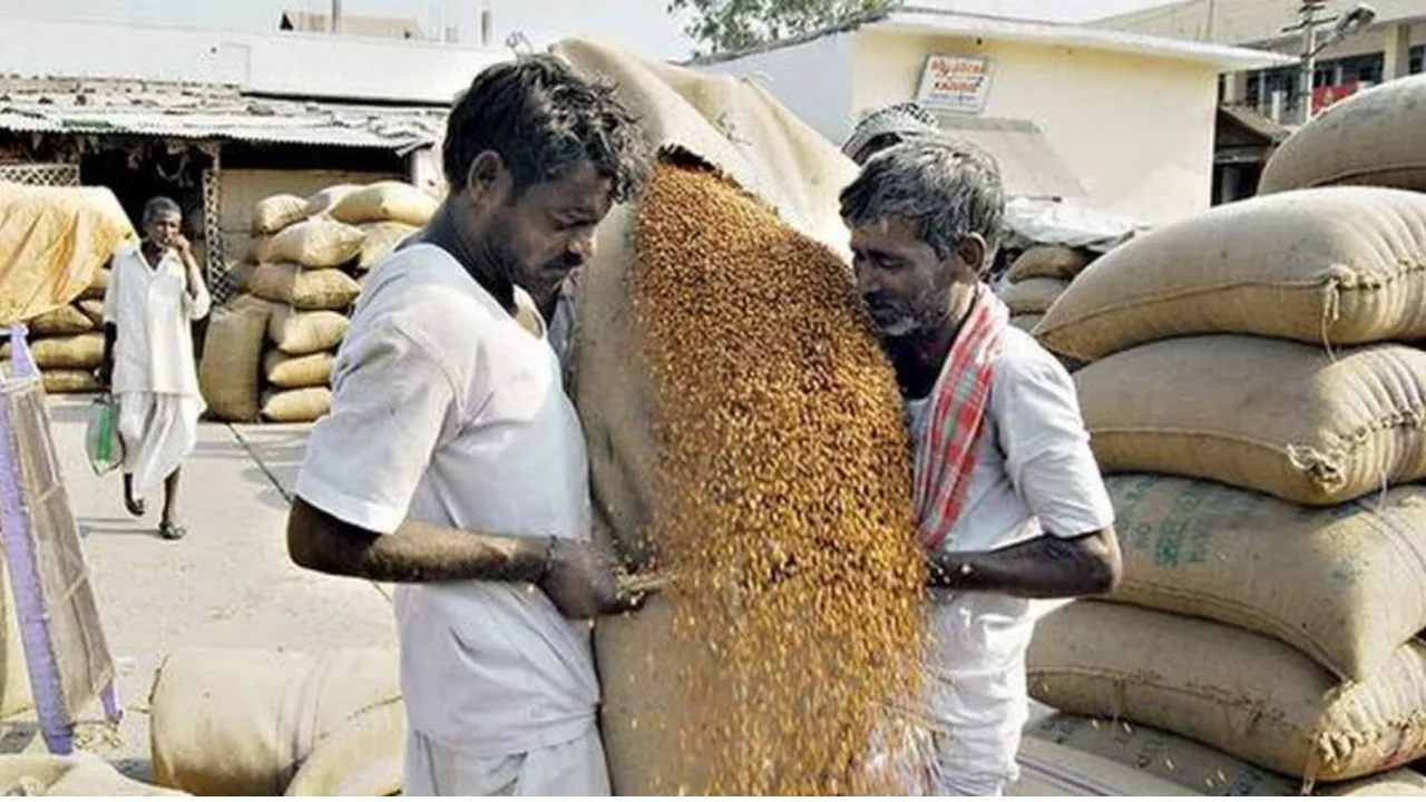 Gulbarga Tur Dal