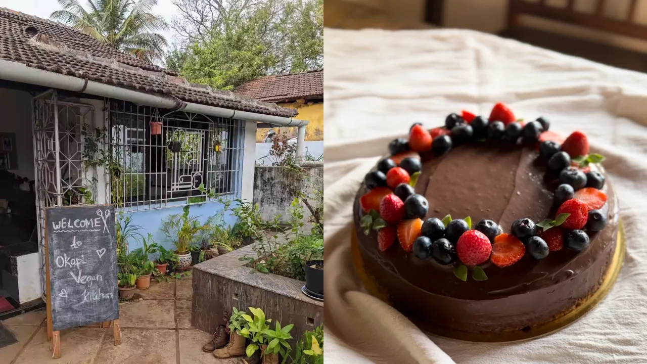 Okapi Goa
