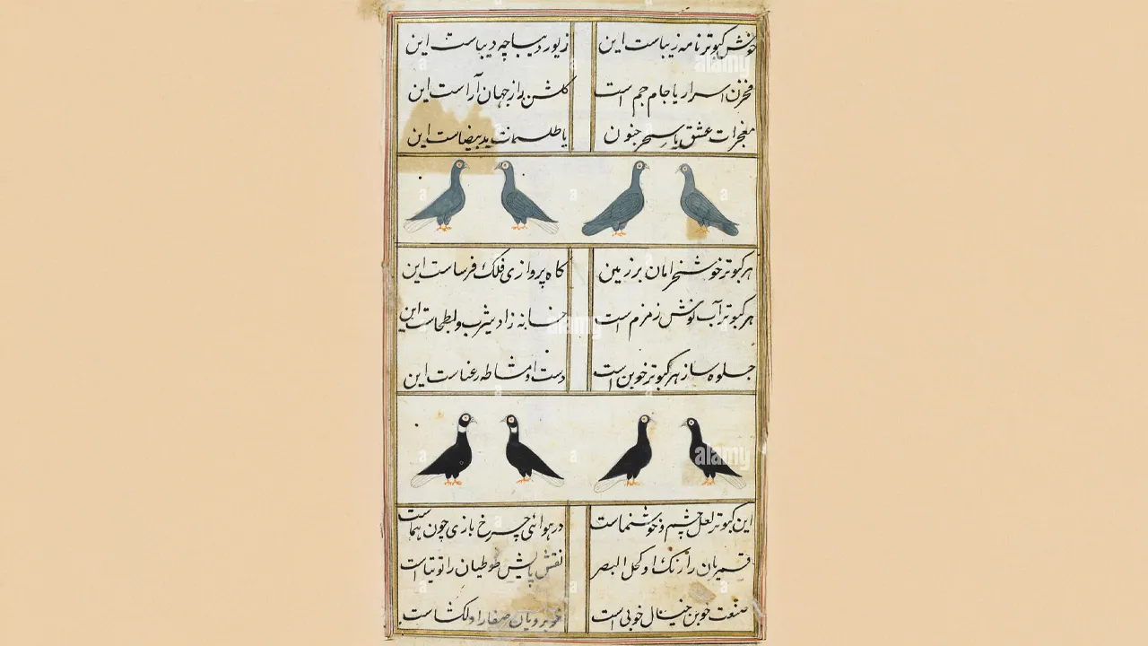 kabutarnamah