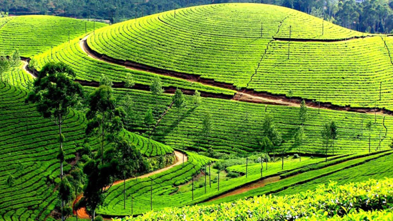 Ooty, Tamil Nadu 