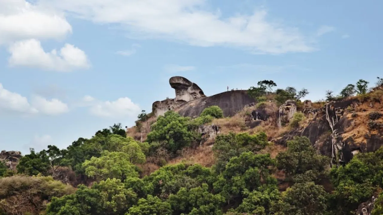 Mount Abu, Rajasthan